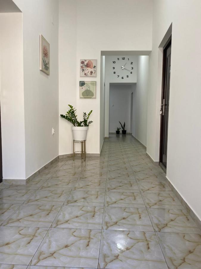 Lotus House Appartement Zrenjanin Buitenkant foto