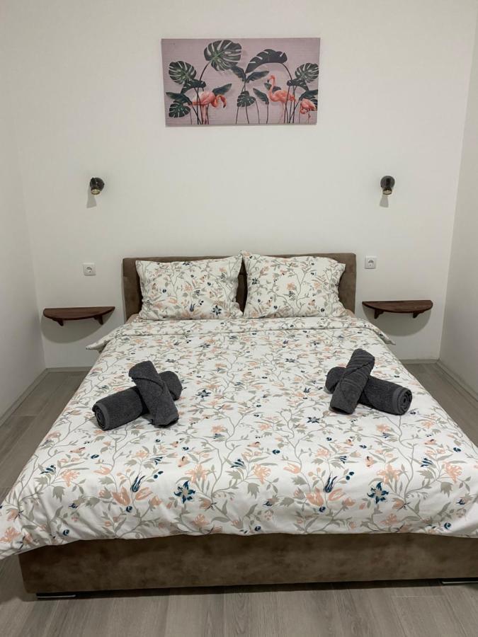 Lotus House Appartement Zrenjanin Buitenkant foto